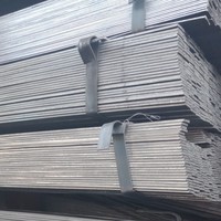 熱軋扁鋼 扁鐵 廣東扁鋼 扁鋼現(xiàn)貨 佛山樂(lè)從扁鋼