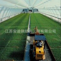 供應(yīng)鋼結(jié)構(gòu)網(wǎng)架連棟溫室大棚，廠家直接供貨