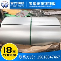 廠(chǎng)家鍍鋅板卷 電解板白鐵皮 寶鋼無(wú)花鍍鋅板現(xiàn)貨鍍鋅鋼板熱鍍鋅