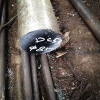 東北特鋼供應(yīng) 樂(lè)從DC53圓鋼DC53車光料口罩機(jī)齒模滾齒專用鋼