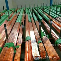 供應(yīng)鍍錫紫銅排 10mm*250mm鍍錫銅排廠(chǎng)家