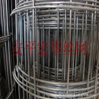 外墻專(zhuān)用熱鍍鋅電焊網(wǎng) 工地用建筑防護(hù)網(wǎng) 電焊鐵絲網(wǎng)