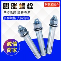 現(xiàn)貨供應(yīng)國標(biāo)碳鋼鍍鋅大小頭膨脹螺絲 拉爆加長膨脹螺栓M6-M24