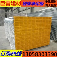 廠家直銷 玻鎂夾芯板 凈化車間 醫(yī)療機構玻鎂板 彩鋼玻鎂板