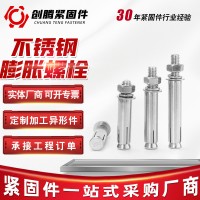 工廠供應(yīng)不銹鋼膨脹螺栓 外六角膨脹螺栓4.8級(jí)膨脹螺絲膨脹栓現(xiàn)貨