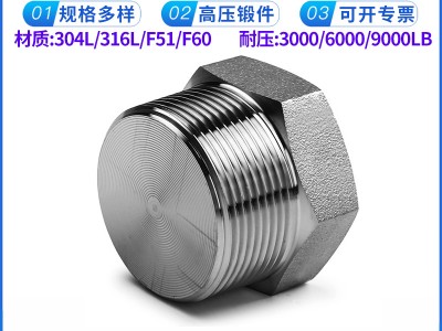 批發(fā) 外六角實(shí)心堵頭 NPT耐400KG高壓管件 304/316L絲牙螺紋堵頭