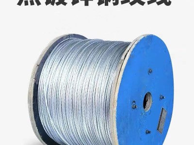 供應(yīng)12號熱鍍鋅鐵絲果園拉線鋼絲截?cái)嗬夎F絲桶提梁衣架改拔絲