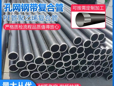 pe孔網(wǎng)鋼帶復合管 廠家直銷消防給水農(nóng)田排灌 鋼絲網(wǎng)骨架復合管