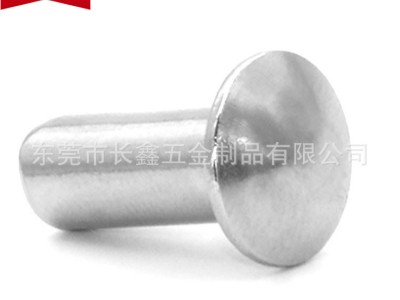 廠家不銹鋼扁頭圓頭實(shí)心鉚釘蘑菇頭窩釘圓頭銷釘Φ2-Φ8長(zhǎng)度3-100