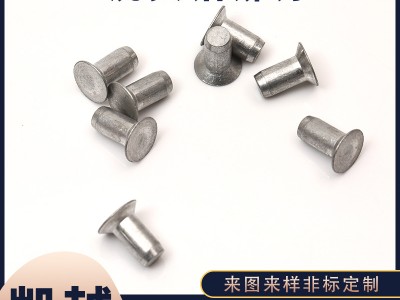 批發(fā)沉頭鋁鉚釘 鋁制實(shí)心鉚釘 平帽鋁釘 錐型平頭柳釘 可支持